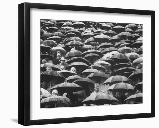 Fans, Sitting in Rain, at Purdue Homecoming Game-Francis Miller-Framed Photographic Print