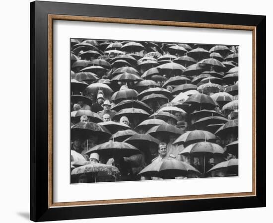 Fans, Sitting in Rain, at Purdue Homecoming Game-Francis Miller-Framed Photographic Print