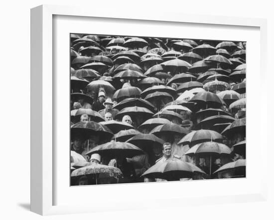 Fans, Sitting in Rain, at Purdue Homecoming Game-Francis Miller-Framed Photographic Print