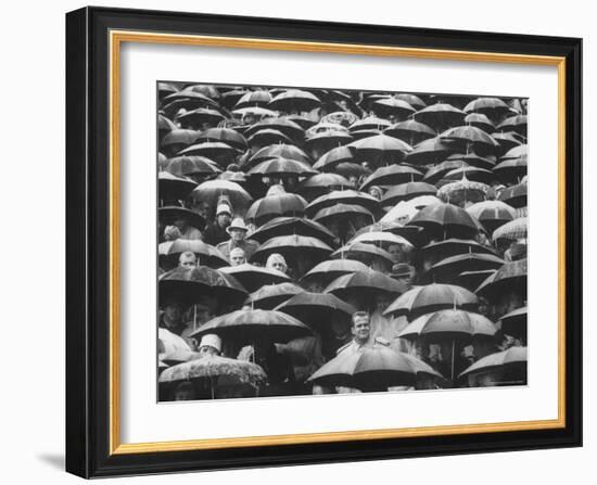 Fans, Sitting in Rain, at Purdue Homecoming Game-Francis Miller-Framed Photographic Print