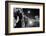 Fans Stargazing During Arrival of Celebrities, 30th Academy Awards, Rko Pantages Theater, 1958-Ralph Crane-Framed Photographic Print