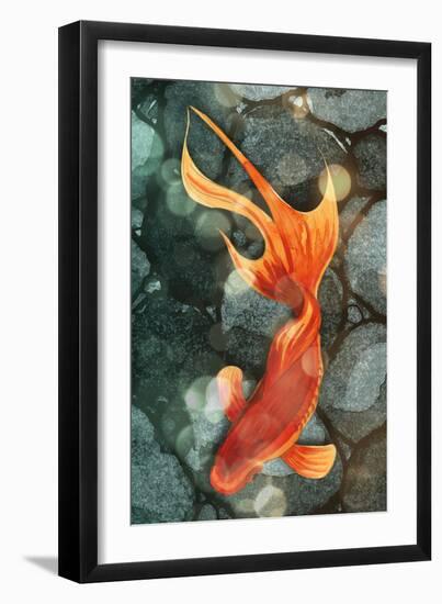 Fantail I-Alicia Ludwig-Framed Art Print