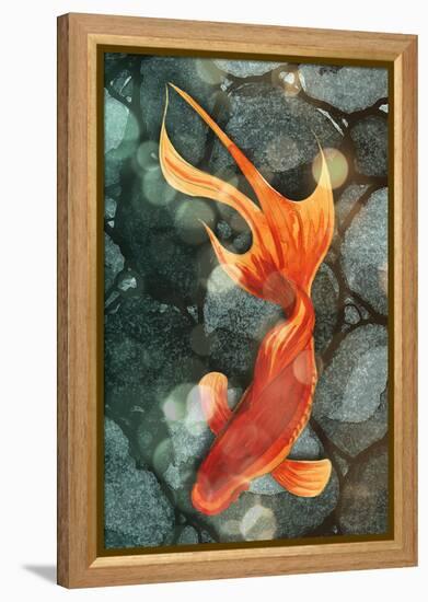 Fantail I-Alicia Ludwig-Framed Stretched Canvas