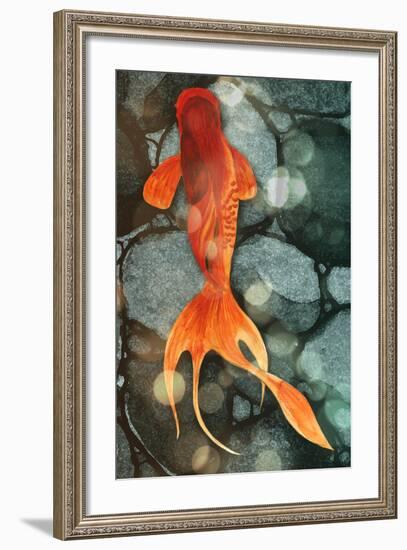 Fantail II-Alicia Ludwig-Framed Art Print