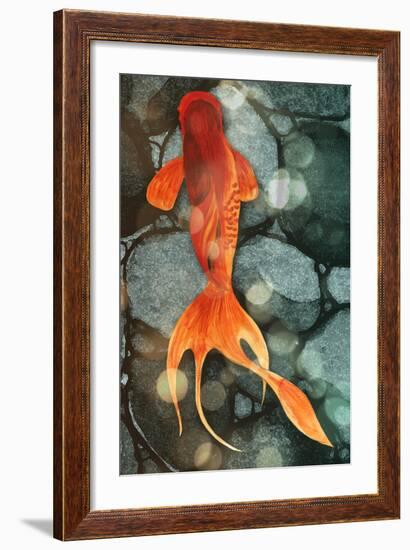 Fantail II-Alicia Ludwig-Framed Art Print