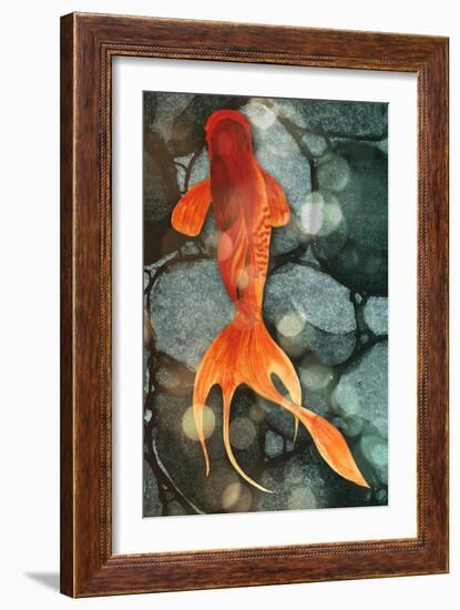 Fantail II-Alicia Ludwig-Framed Art Print