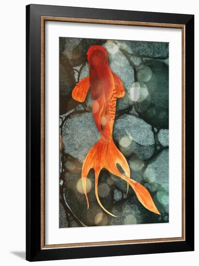 Fantail II-Alicia Ludwig-Framed Art Print