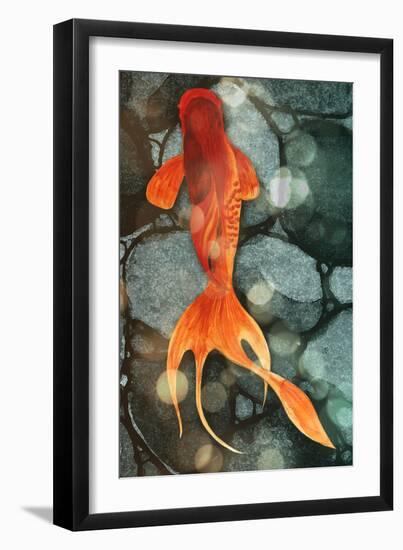 Fantail II-Alicia Ludwig-Framed Art Print