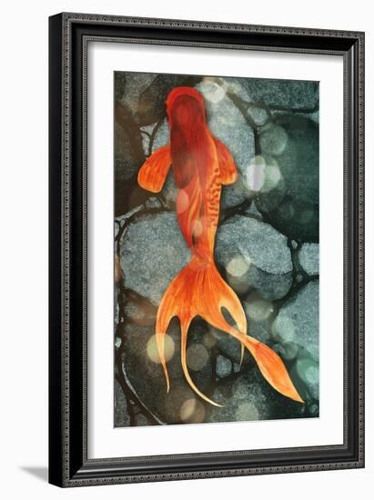 Fantail II-Alicia Ludwig-Framed Art Print