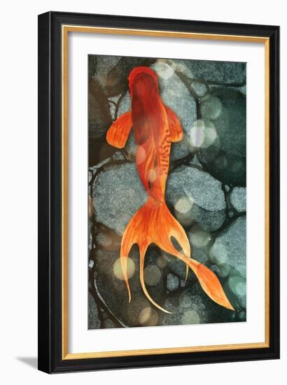 Fantail II-Alicia Ludwig-Framed Art Print