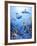 Fantasea-Sheila Lee-Framed Giclee Print