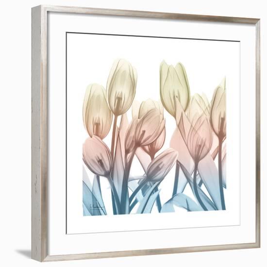 Fantastic Bloom-Albert Koetsier-Framed Art Print