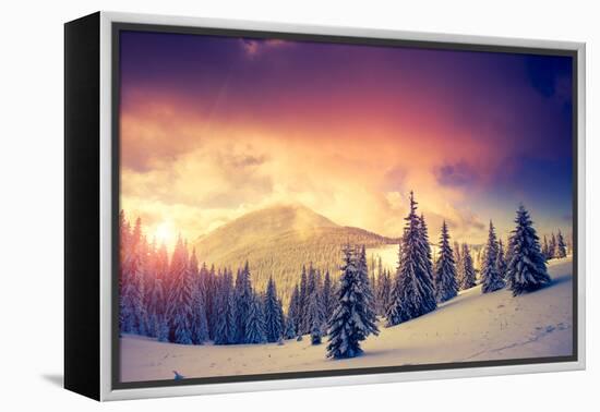 Fantastic Evening Landscape in a Colorful Sunlight. Dramatic Wintry Scene. National Park Carpathian-Leonid Tit-Framed Premier Image Canvas