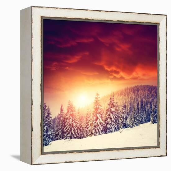 Fantastic Evening Landscape in a Colorful Sunlight. Dramatic Wintry Scene. National Park Carpathian-Leonid Tit-Framed Premier Image Canvas