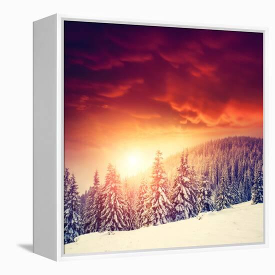 Fantastic Evening Landscape in a Colorful Sunlight. Dramatic Wintry Scene. National Park Carpathian-Leonid Tit-Framed Premier Image Canvas