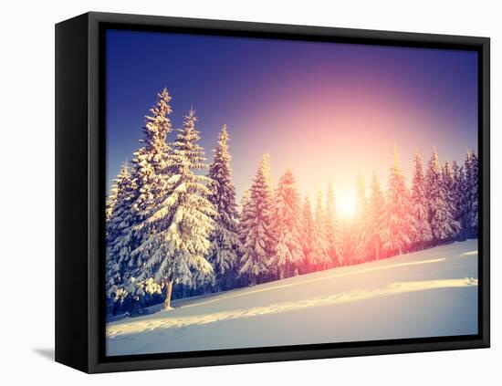 Fantastic Evening Landscape in a Colorful Sunlight. Dramatic Wintry Scene. National Park Carpathian-Leonid Tit-Framed Premier Image Canvas