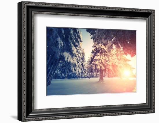 Fantastic Evening Landscape in a Colorful Sunlight. Dramatic Wintry Scene. National Park Carpathian-Leonid Tit-Framed Photographic Print