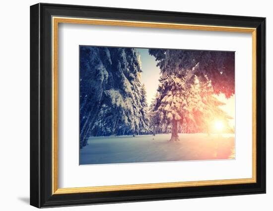 Fantastic Evening Landscape in a Colorful Sunlight. Dramatic Wintry Scene. National Park Carpathian-Leonid Tit-Framed Photographic Print