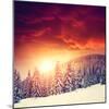 Fantastic Evening Landscape in a Colorful Sunlight. Dramatic Wintry Scene. National Park Carpathian-Leonid Tit-Mounted Photographic Print