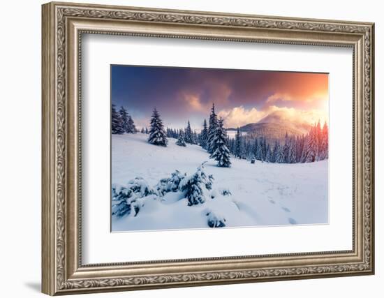 Fantastic Evening Landscape in a Colorful Sunlight. Dramatic Wintry Scene. National Park Carpathian-Leonid Tit-Framed Photographic Print