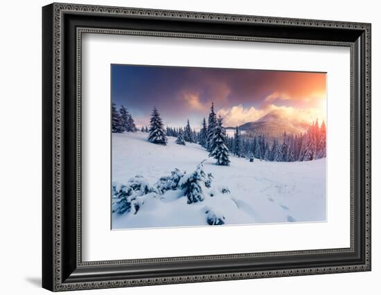 Fantastic Evening Landscape in a Colorful Sunlight. Dramatic Wintry Scene. National Park Carpathian-Leonid Tit-Framed Photographic Print