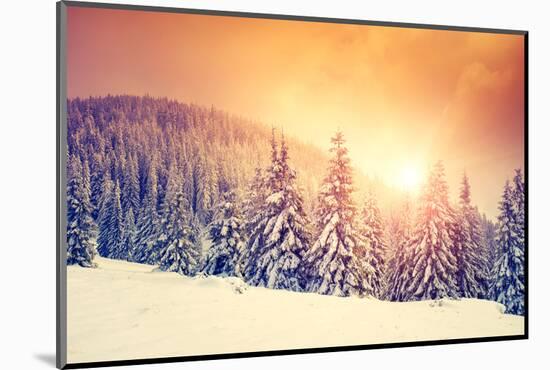Fantastic Evening Landscape in a Colorful Sunlight. Dramatic Wintry Scene. National Park Carpathian-Creative Travel Projects-Mounted Photographic Print