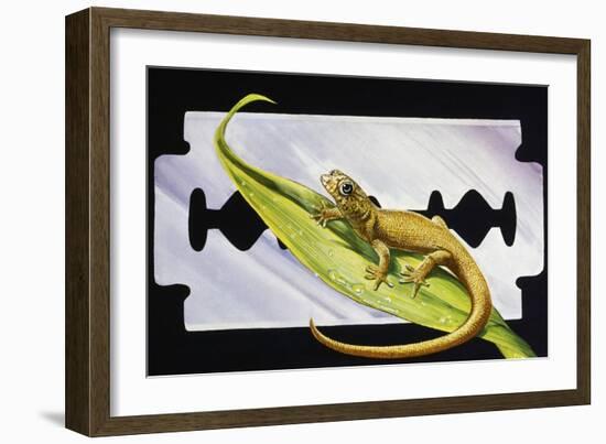 Fantastic Least Gecko (Sphaerodactylus Fantasticus), Gekkonidae-null-Framed Giclee Print