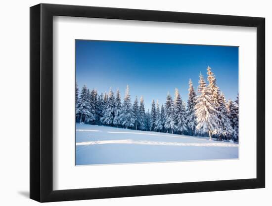 Fantastic Winter Landscape. Blue Sky. Carpathian, Ukraine, Europe. Beauty World.-Leonid Tit-Framed Photographic Print
