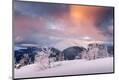 Premium Photographic Print