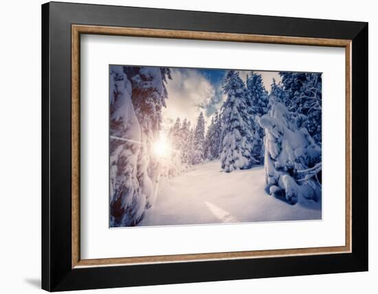 Fantastic Winter Landscape in the Sunny Beams. Dramatic Wintry Scene. Carpathian, Ukraine, Europe.-Leonid Tit-Framed Photographic Print