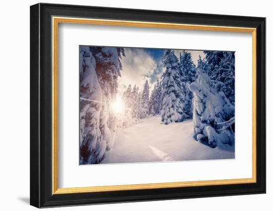 Fantastic Winter Landscape in the Sunny Beams. Dramatic Wintry Scene. Carpathian, Ukraine, Europe.-Leonid Tit-Framed Photographic Print