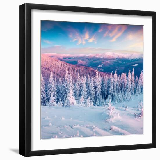 Fantastic Winter Sunrise in Carpathian Mountains with Snow Cowered Trees. Colorful Outdoor Scene, H-null-Framed Photographic Print