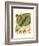 Fantastical Botanical I-Vision Studio-Framed Premium Giclee Print