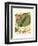 Fantastical Botanical I-Vision Studio-Framed Premium Giclee Print