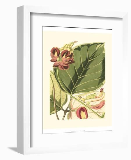 Fantastical Botanical I-Vision Studio-Framed Premium Giclee Print