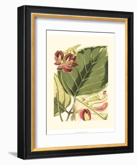 Fantastical Botanical I-Vision Studio-Framed Premium Giclee Print