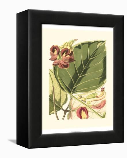 Fantastical Botanical I-Vision Studio-Framed Stretched Canvas