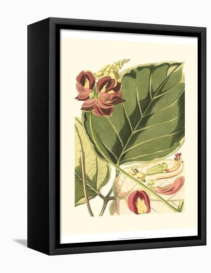 Fantastical Botanical I-Vision Studio-Framed Stretched Canvas