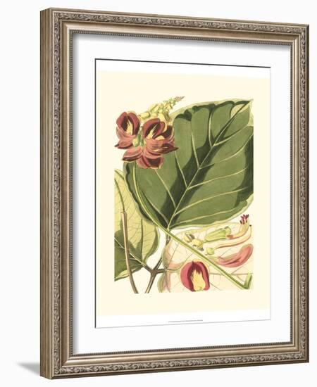 Fantastical Botanical I-Vision Studio-Framed Art Print