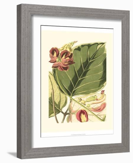 Fantastical Botanical I-Vision Studio-Framed Art Print