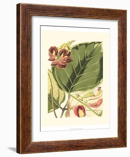 Fantastical Botanical I-Vision Studio-Framed Art Print