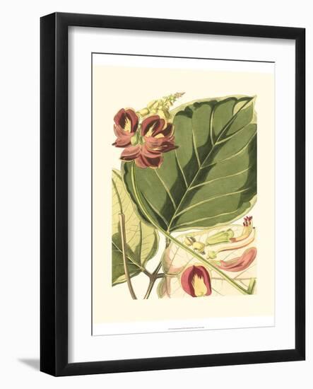 Fantastical Botanical I-Vision Studio-Framed Art Print