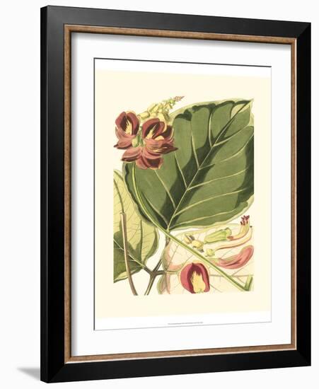 Fantastical Botanical I-Vision Studio-Framed Art Print