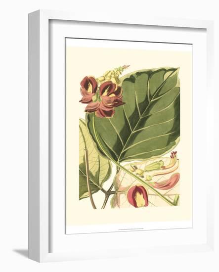 Fantastical Botanical I-Vision Studio-Framed Art Print