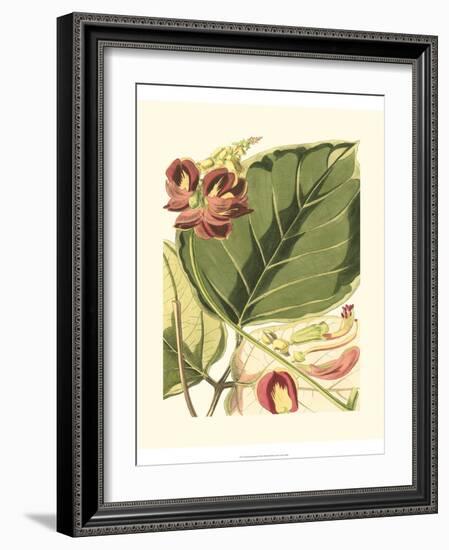 Fantastical Botanical I-Vision Studio-Framed Art Print