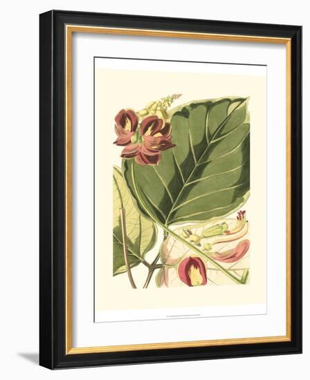 Fantastical Botanical I-Vision Studio-Framed Art Print