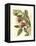 Fantastical Botanical II-Vision Studio-Framed Stretched Canvas