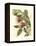 Fantastical Botanical II-Vision Studio-Framed Stretched Canvas