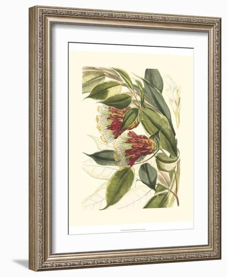 Fantastical Botanical II-Vision Studio-Framed Art Print