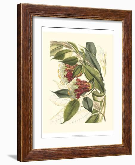 Fantastical Botanical II-Vision Studio-Framed Art Print